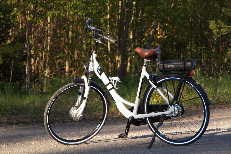 Giant Ease-E+ 2 Low Step-Through Electric Bike