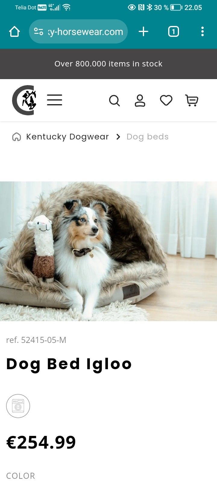 Kentucky koiranpeti iglu