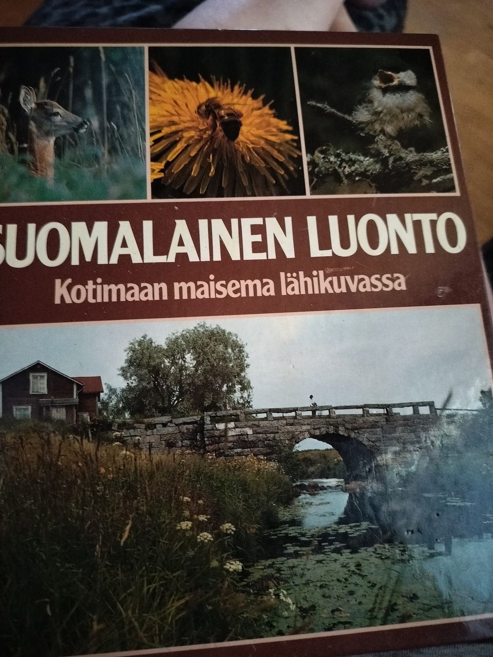 Kirja Suomalainen Luonto.