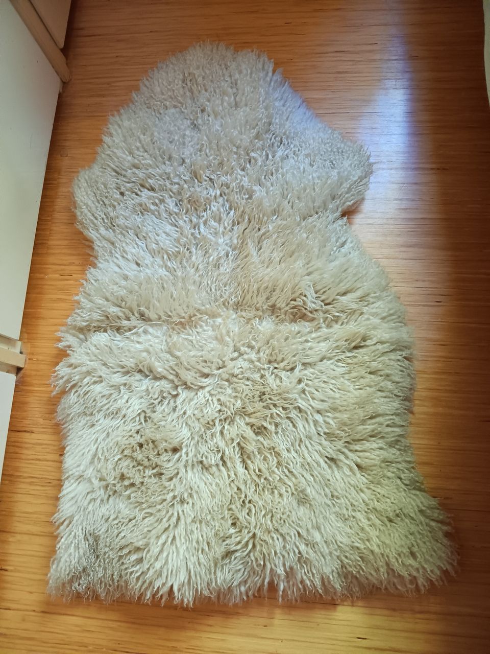 2 lampaantalja mattoa