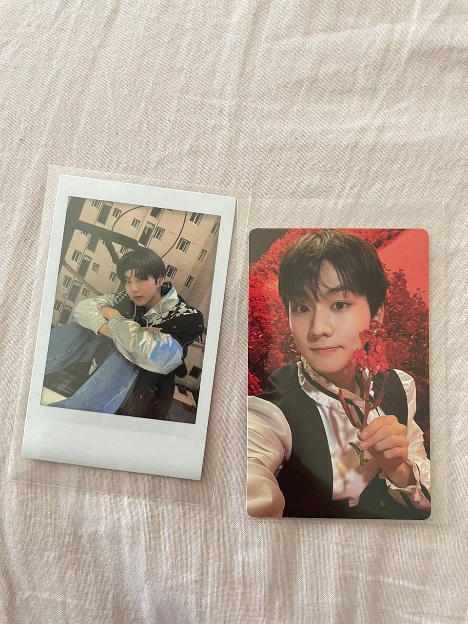 Kpop Enhypen jungwon photocard & polaroid