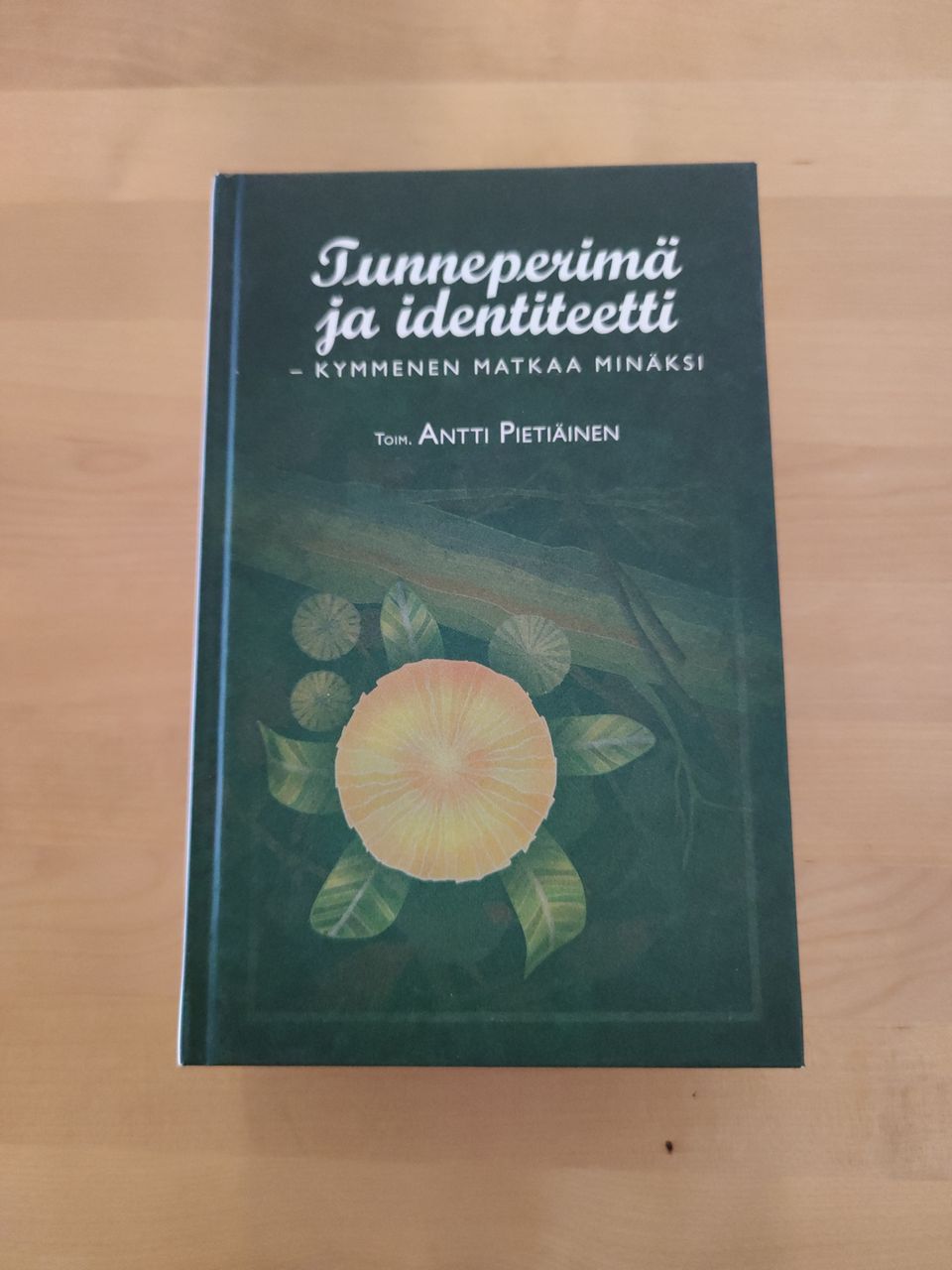Antti Pietiäinen: Tunneperimä ja identiteetti - Kymmenen matkaa minäksi