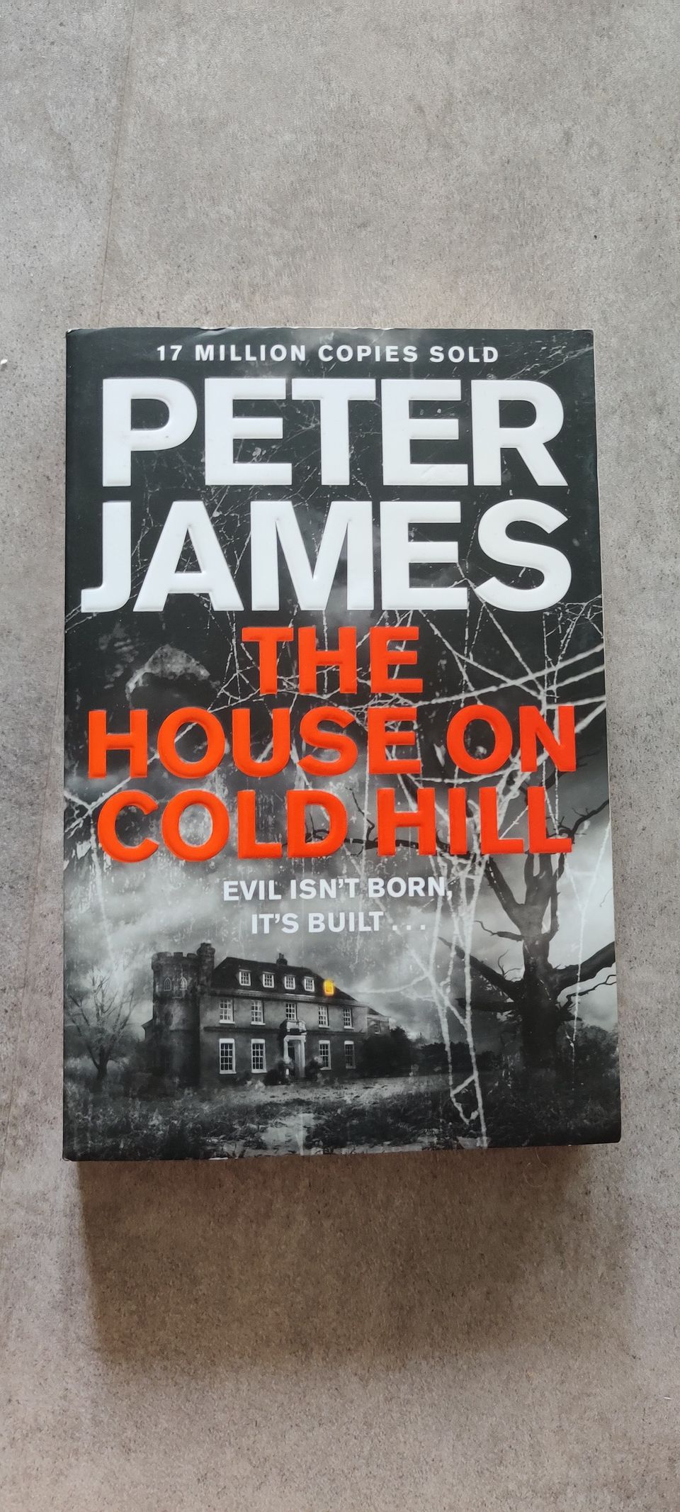 Peter James - the house on cold hill