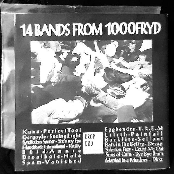 V/A: Small Town Traumas - 14 Bands from 1000Fryd LP