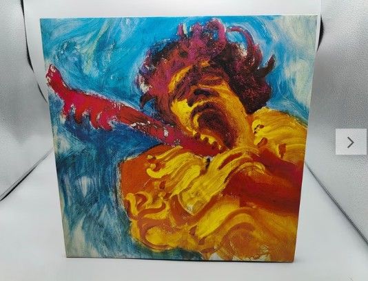 Jimi Hendrix The Jimi Hendrix Concerts 2XLP