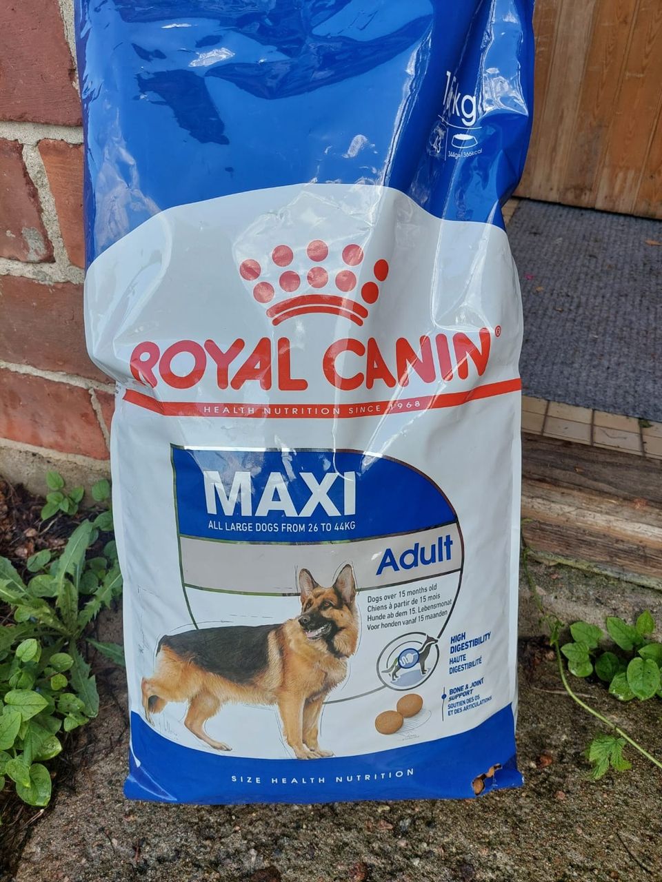 Koiranraksuja Royal canin