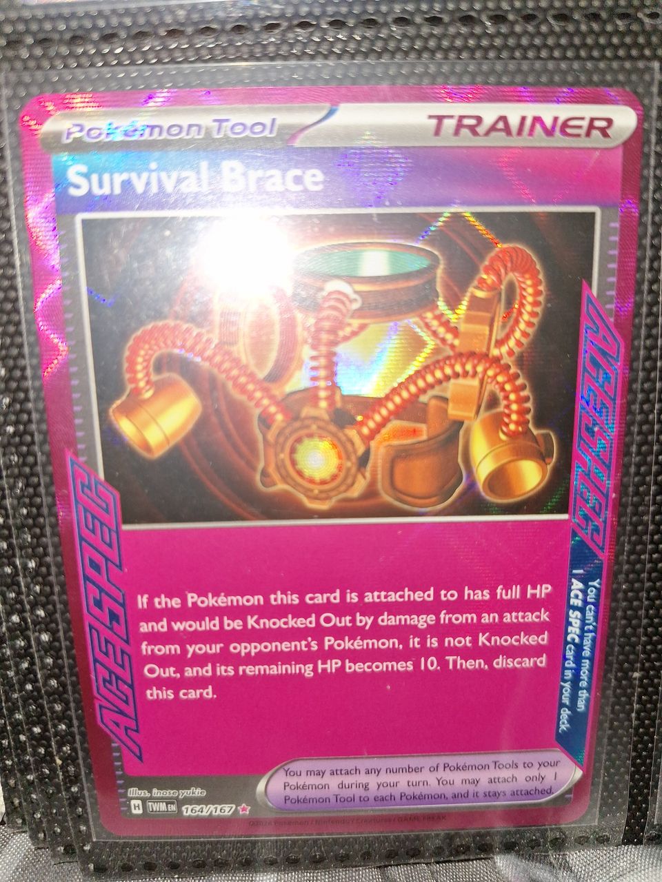 Pokemon Survival Brace 164/167