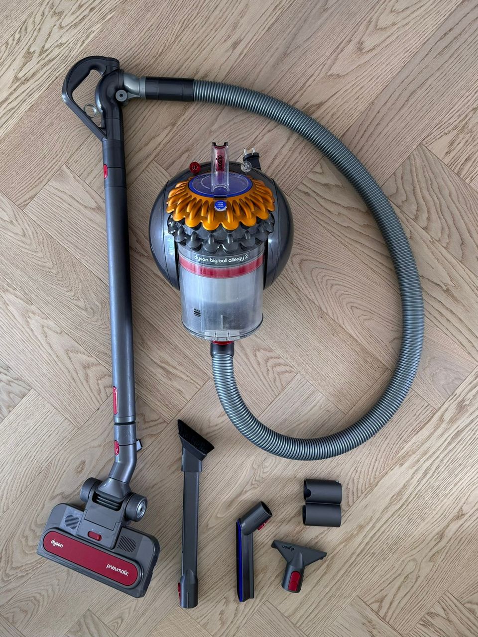 Dyson Big Ball Allergy 2