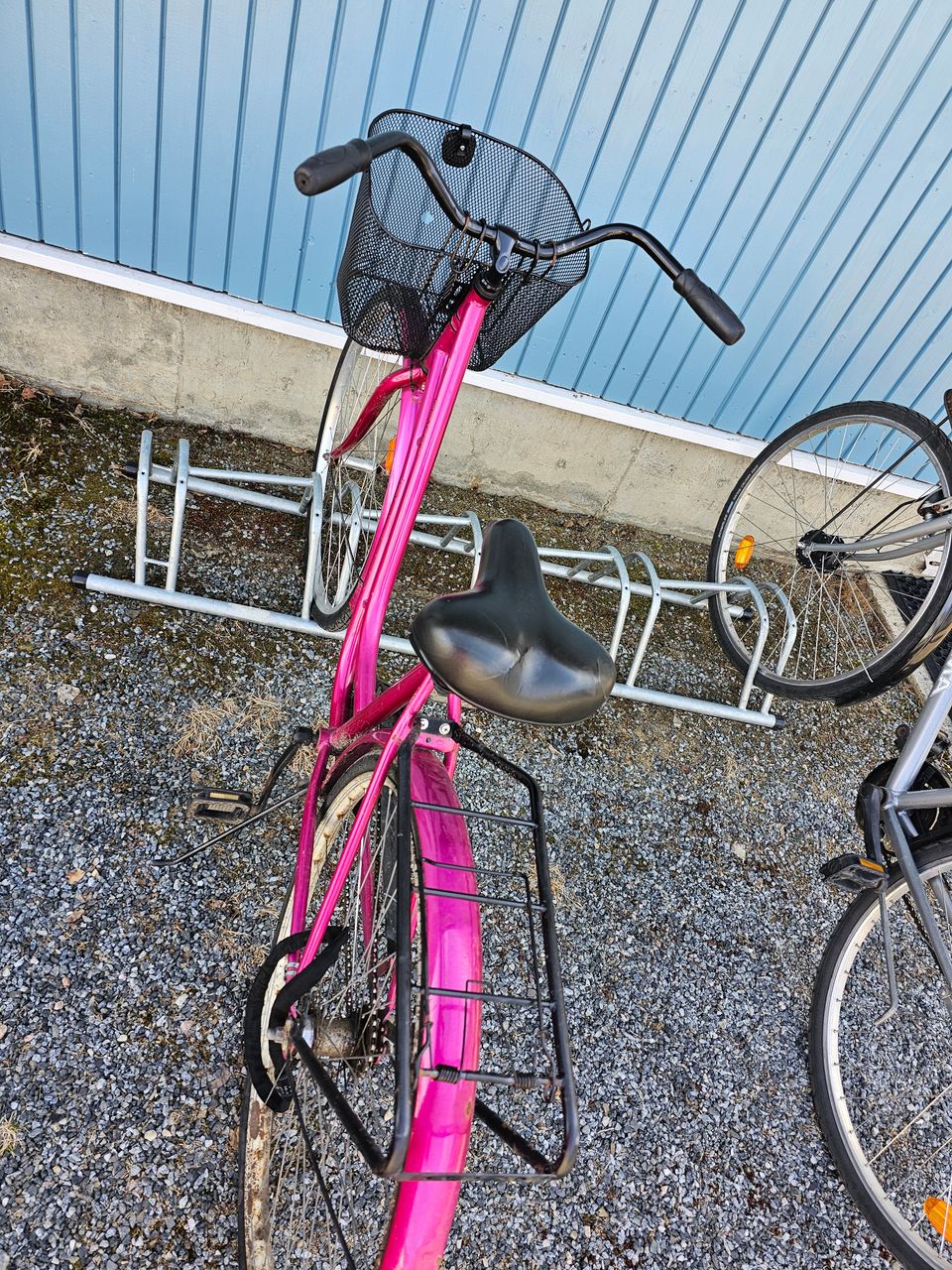 Bicycle for adult and kids