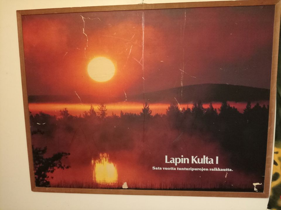 Lapinkulta taulu