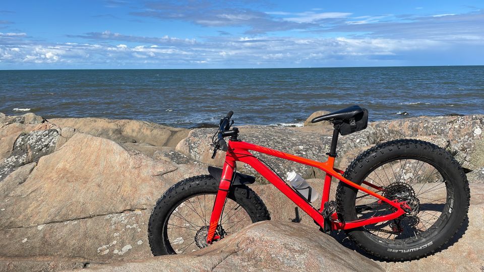 Fatbike, Canyon Dude CF 8.0 Dude 2019 taiga orange Size M fatbike, Oulu