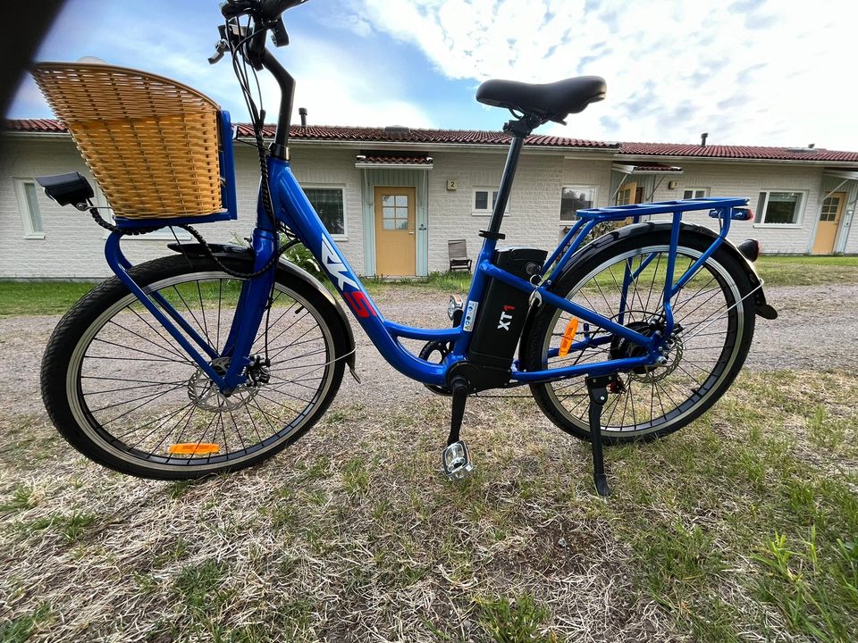 RKS E-Bike XT 1