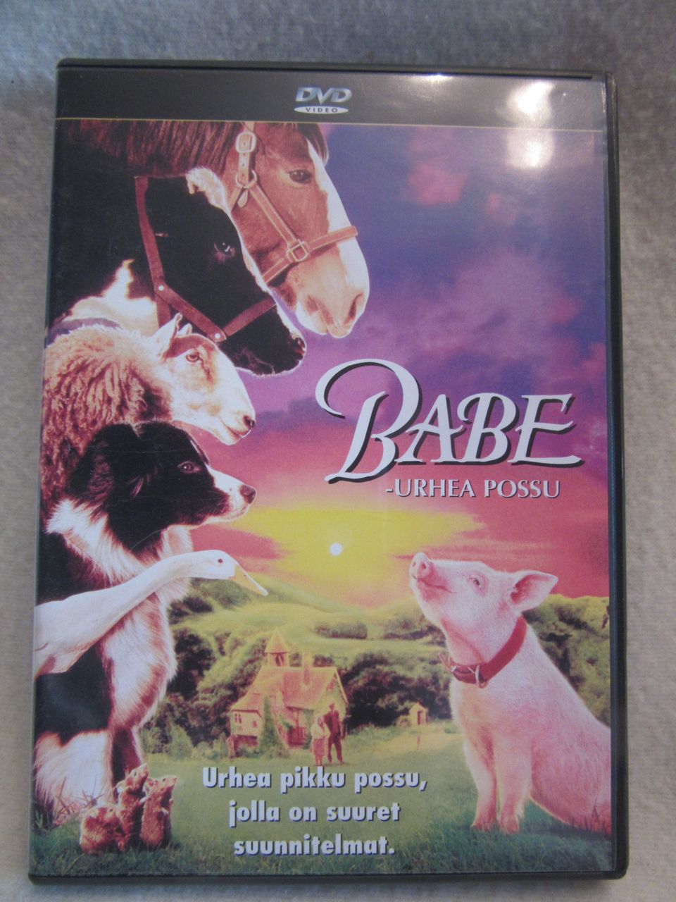 Babe – urhea possu dvd