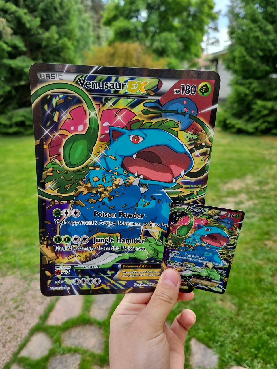 Iso ja normi Venusaur EX - Pokemon kortit