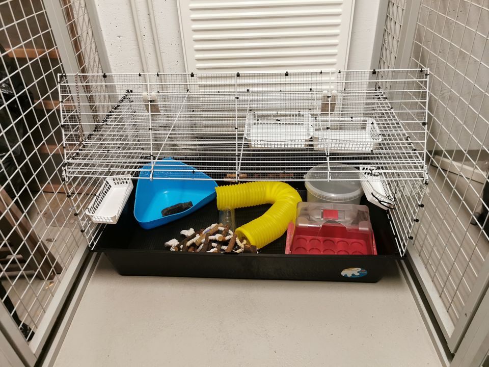 Pet cage and accessories