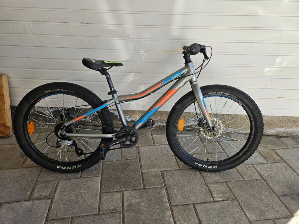 Serious trailkid 24"