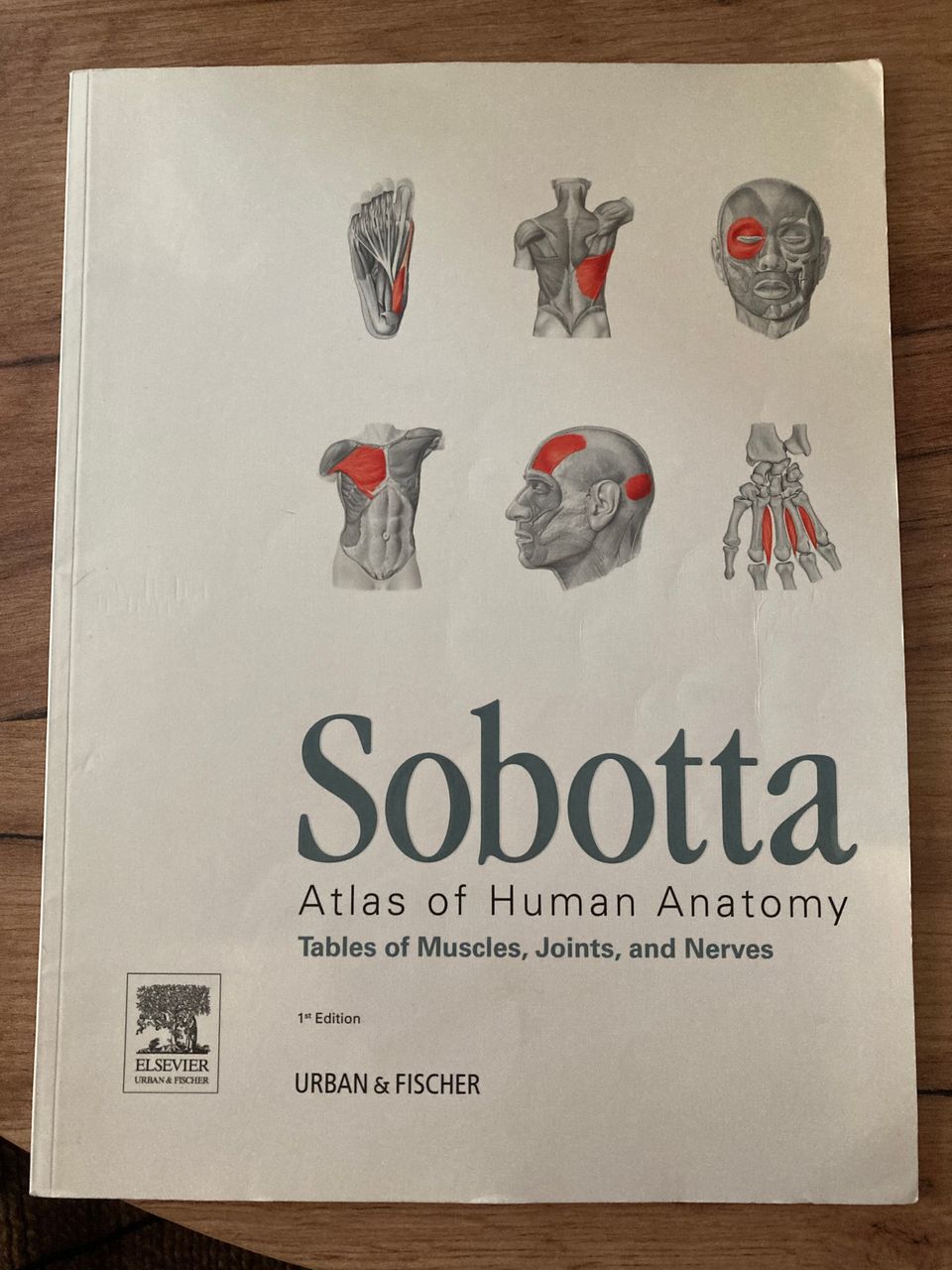 Sobotta tables of muscles, joints and nerves