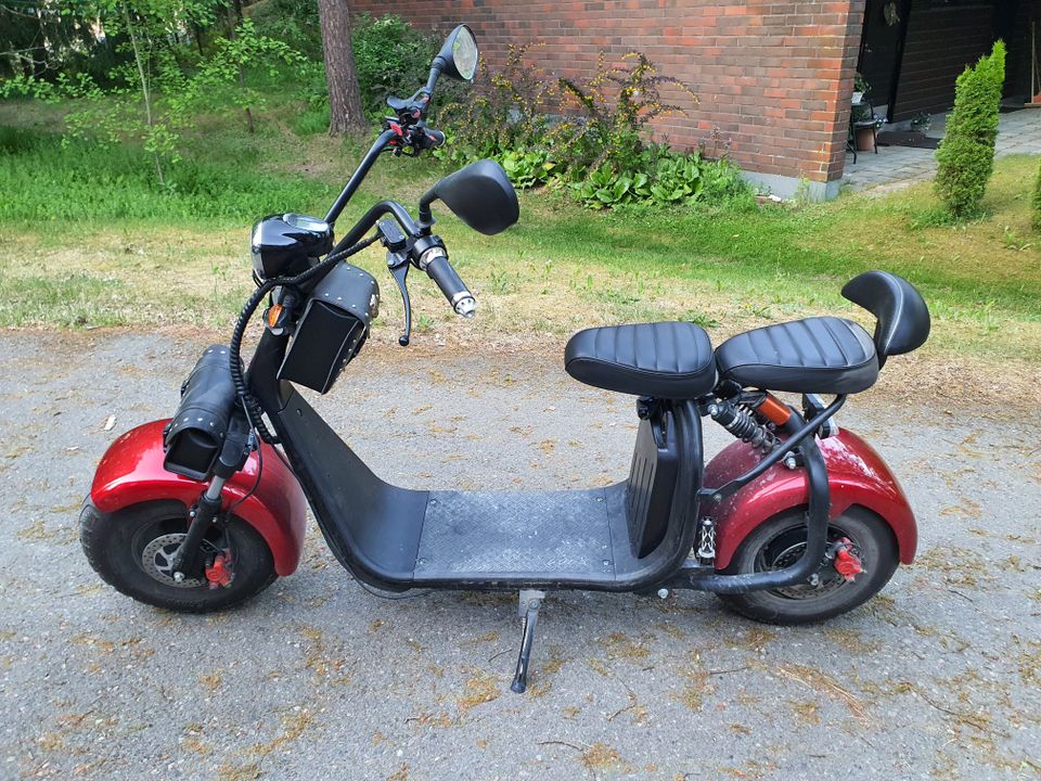 E-Fox (Motokettu) Fat Scooter