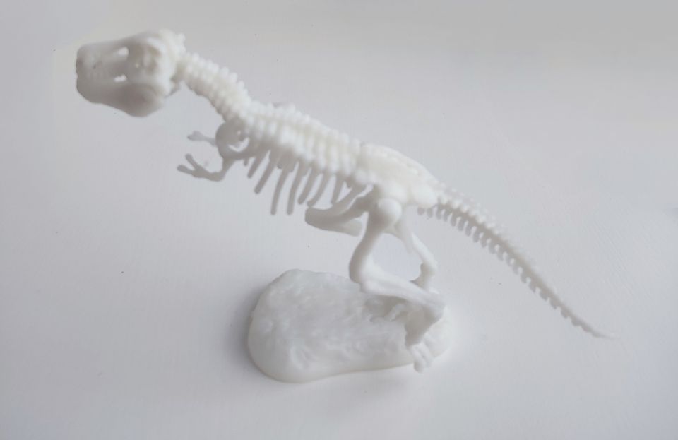 3D - pulma Tyrannosaurus REX