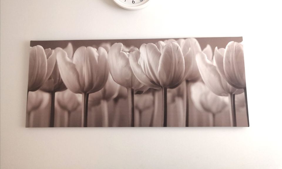 Ikea Tulppaani Canvas taulu
