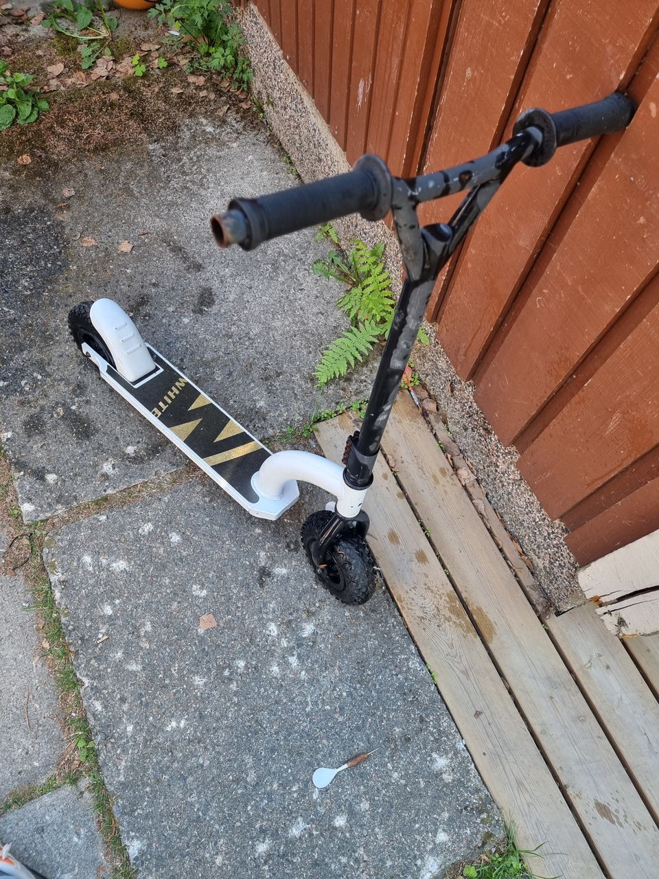 Paksurenkainen scootti