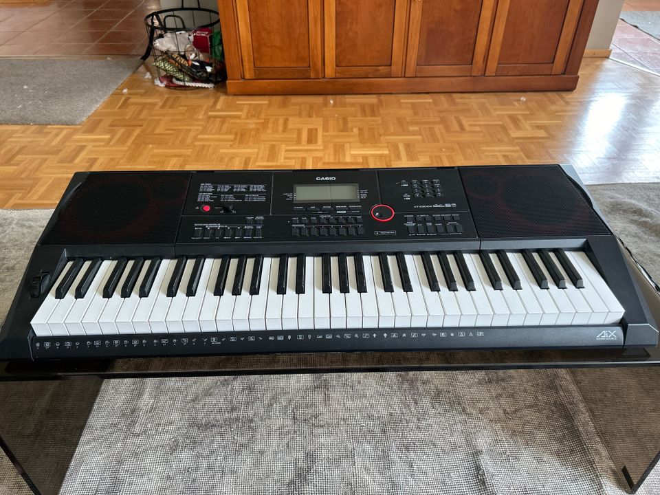 Casio CT-X3000