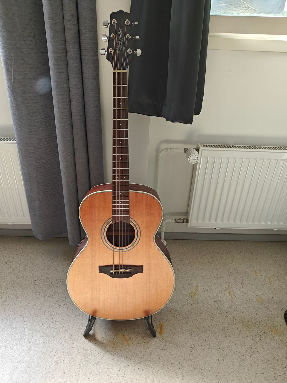 Takamine GD20-NS