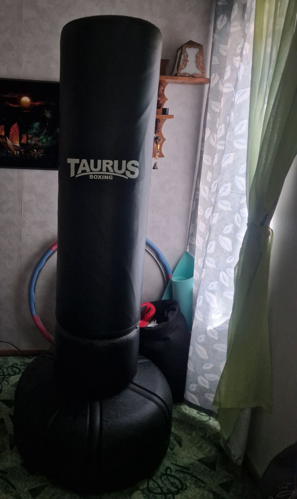 Taurus boxing bag