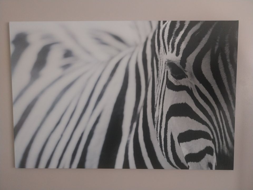 Ikea Pjätteryd Zebra-taulu