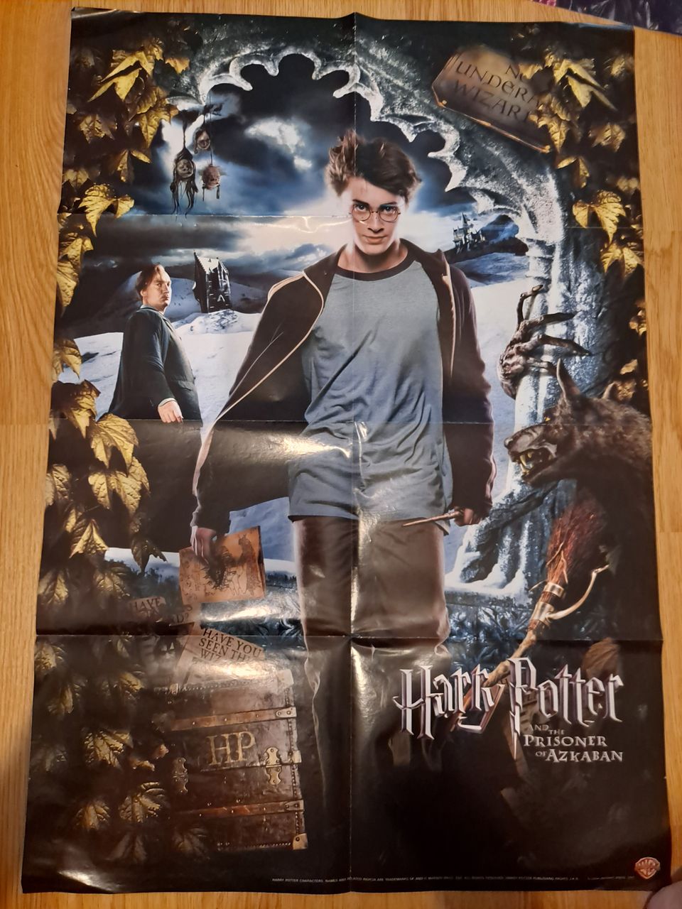 Harry Potter juliste
