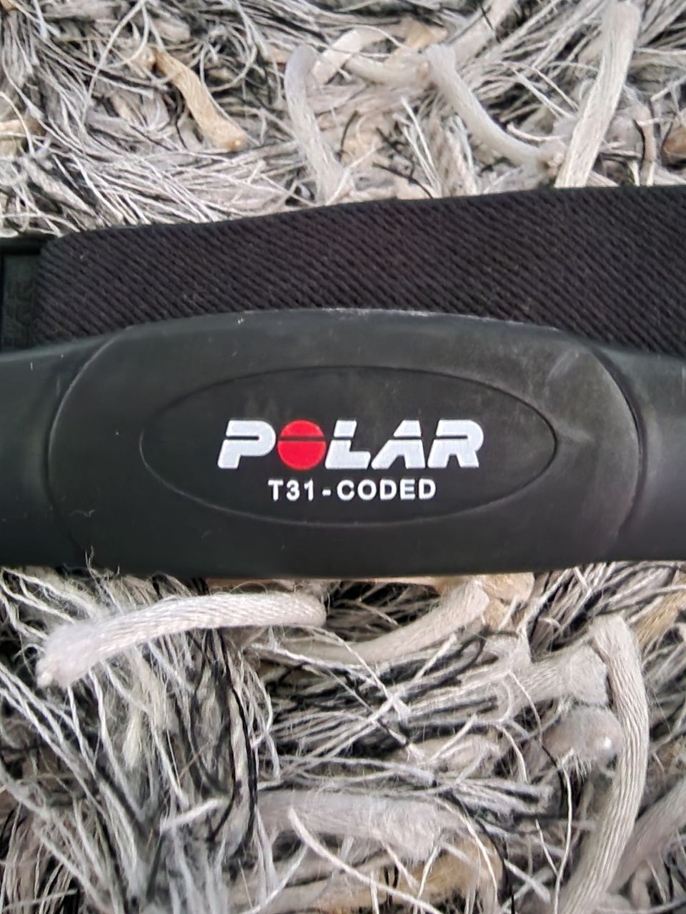 Polar T31 coded