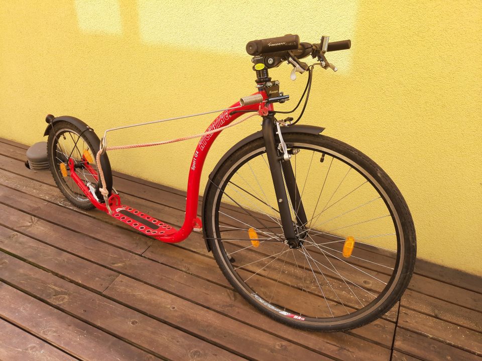 Kickbike Sport G4