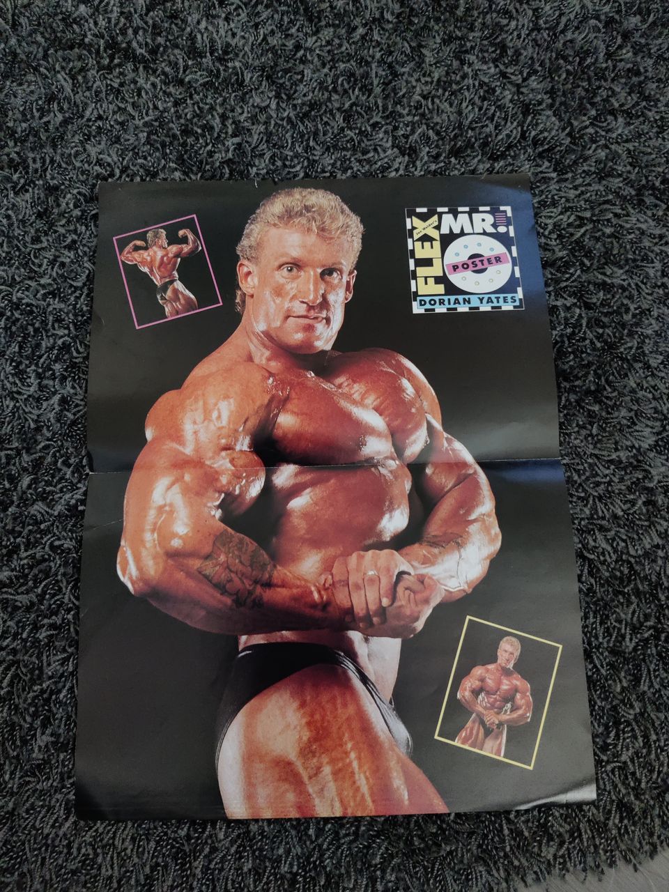 Juliste Dorian Yates / Lenda Murray