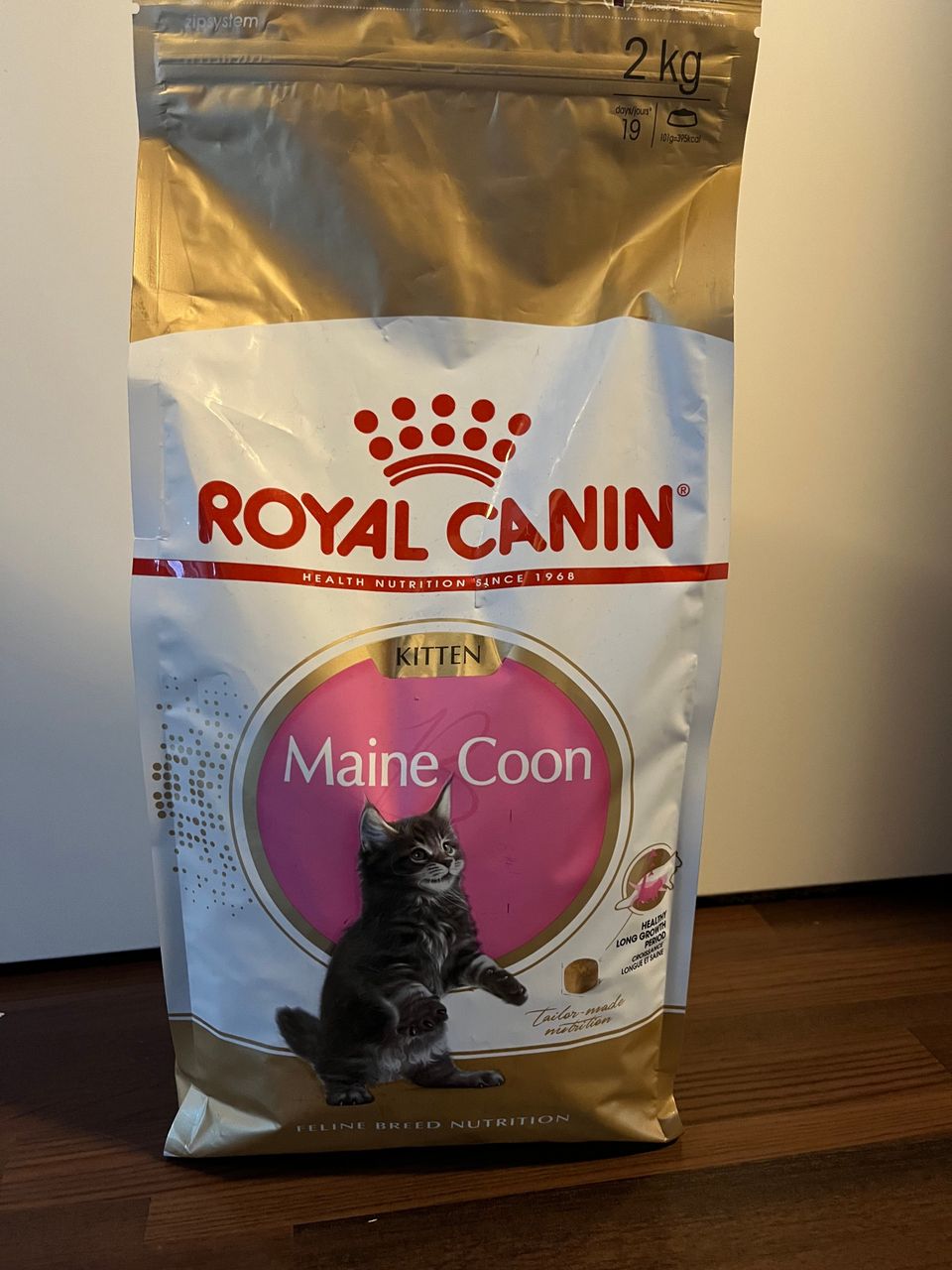 Royal canin maine coon kitten