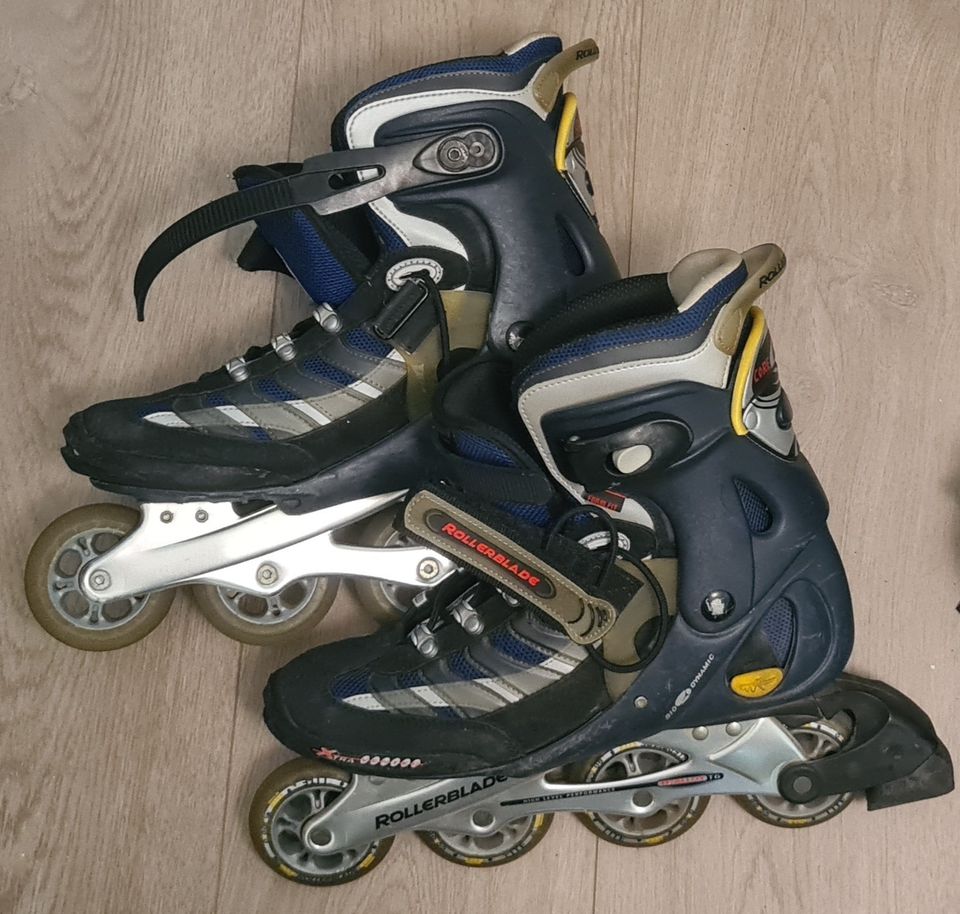 Rullaluistimet Rollerblade 43