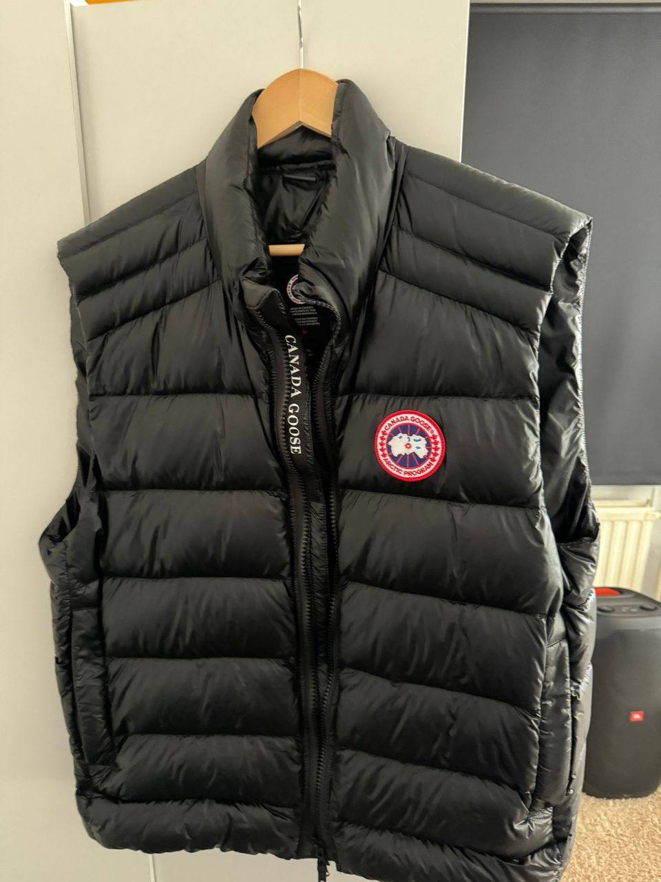 Canada goose liivi