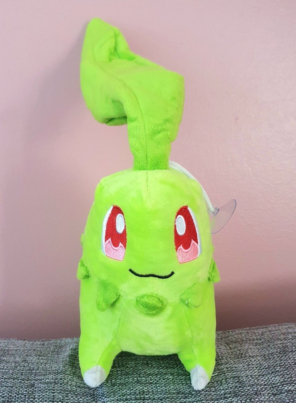 Chikorita-pehmolelu