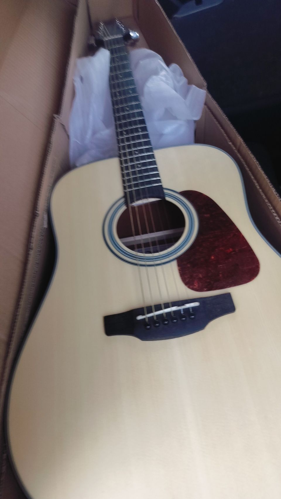 Takamine Gd10 NS