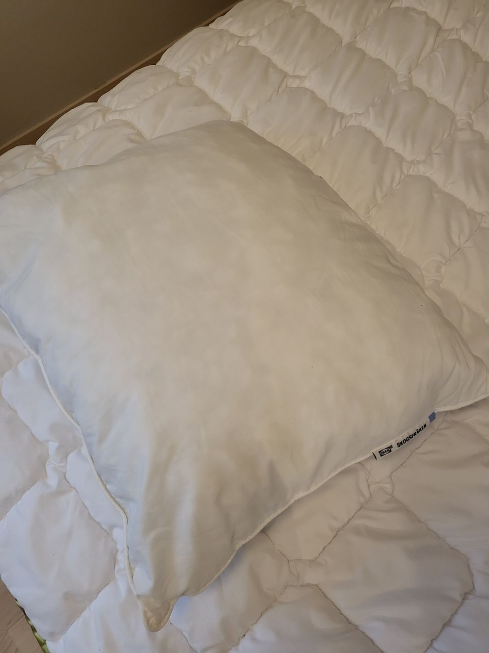 Pillows 50x60