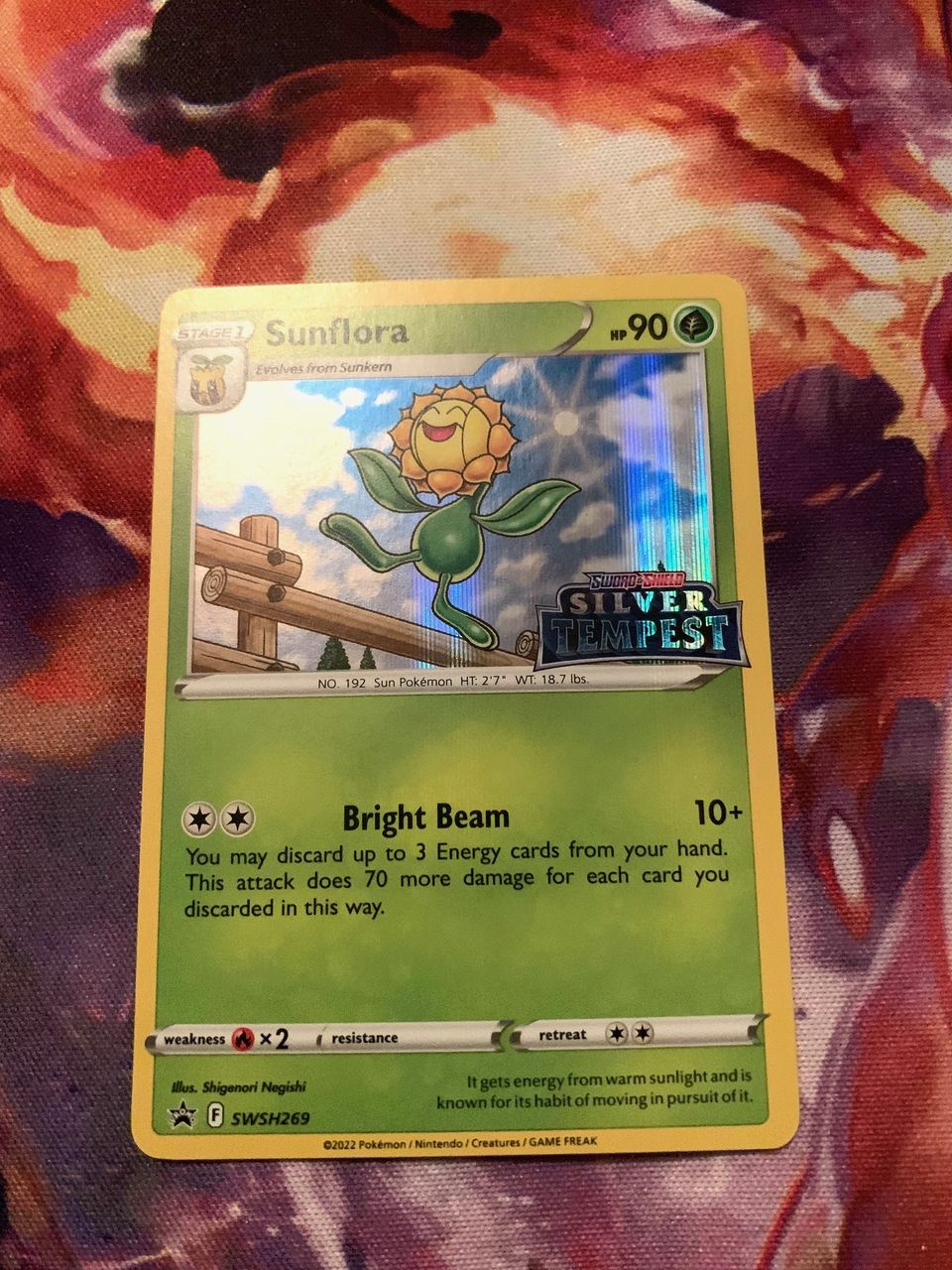 Sunflora SWSH 269  (Pokemon TCG / Black Star Promo)