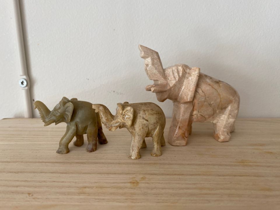 Kivi norsuja