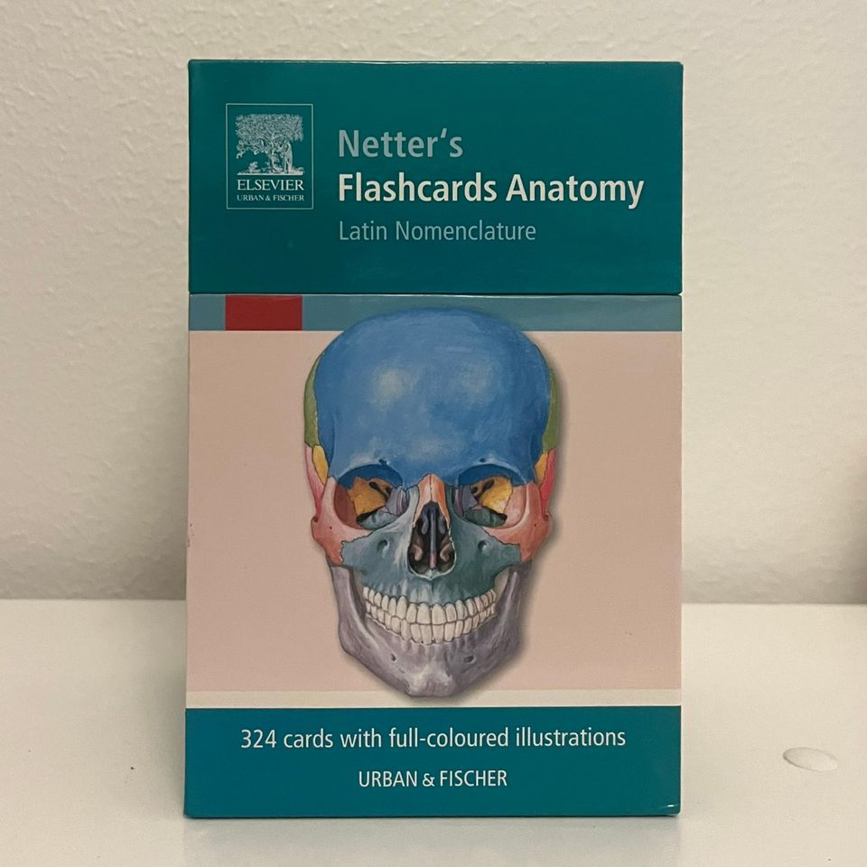 Netterin latinankieliset anatomian flashcardit