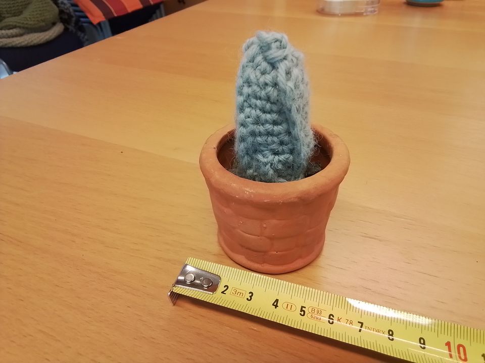 Mini kaktus