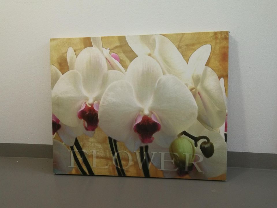 Canvas-taulu orkidea