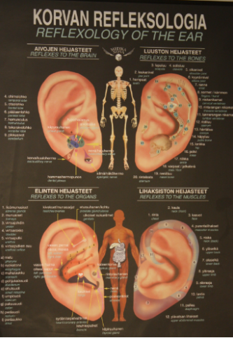 Korvan refloksologiakartta juliste