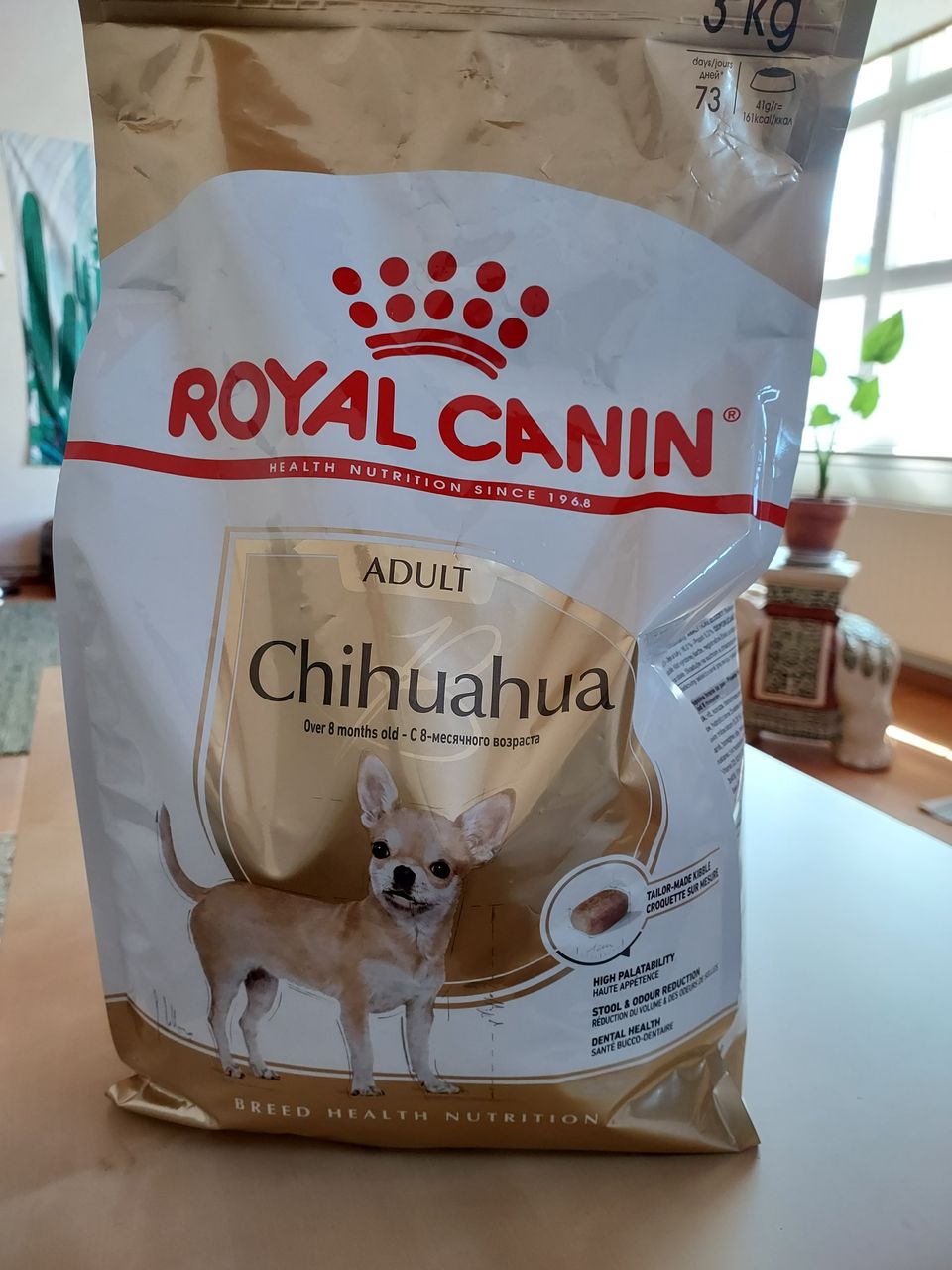 Koiran ruokaa  Royal Canin