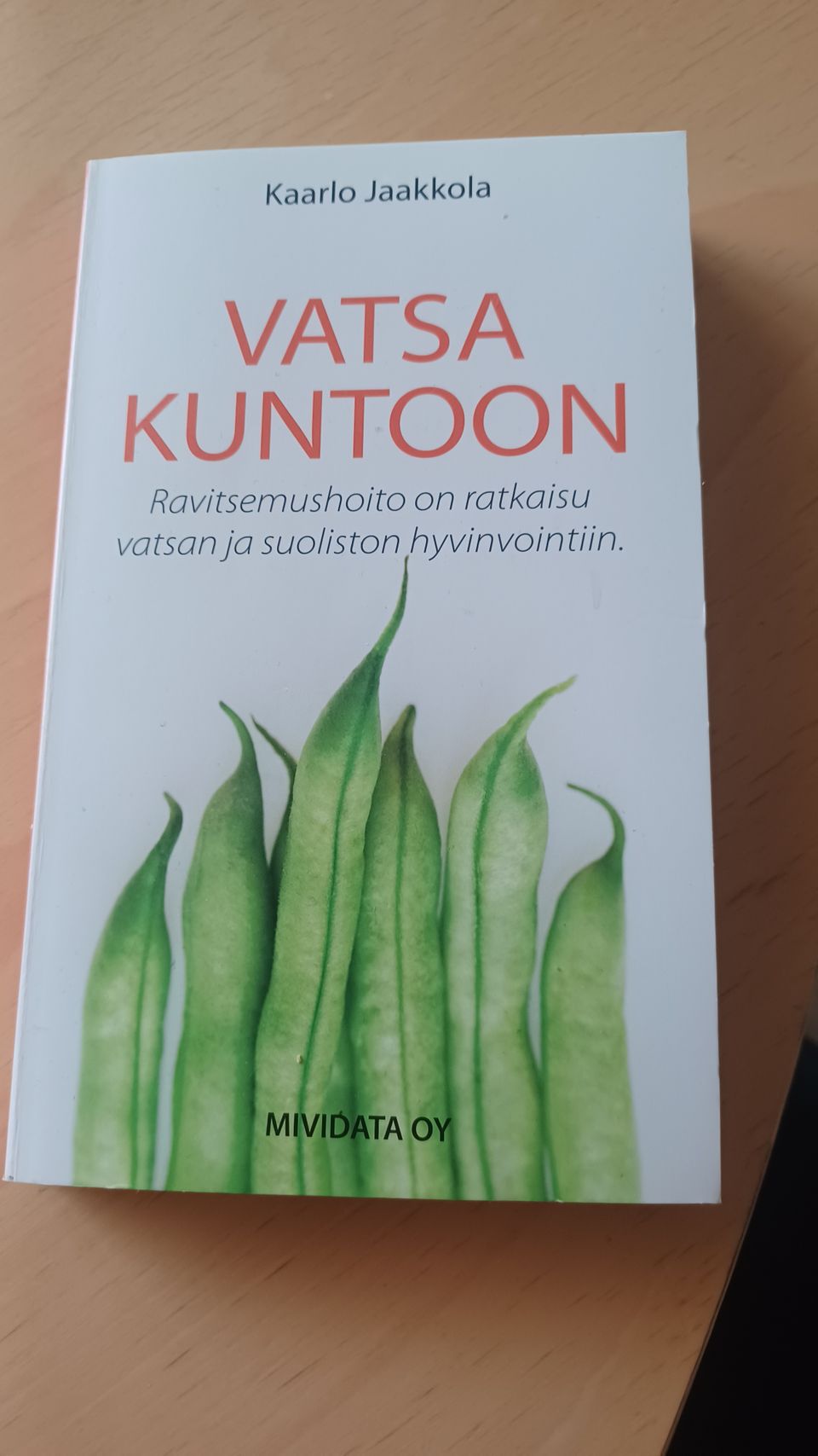 Vatsa kuntoon kirja