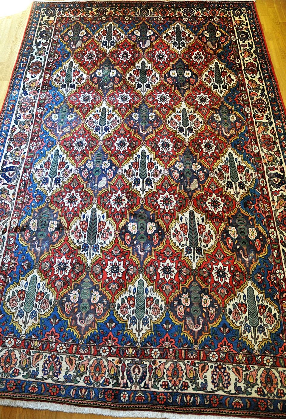 Käsinsolmittu villamatto 325 x 205 cm Bakhtiari, Iran