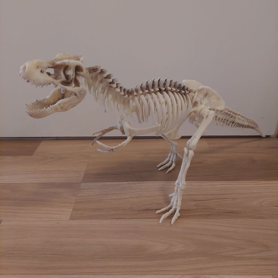 Dinosaurus(VARATTU)