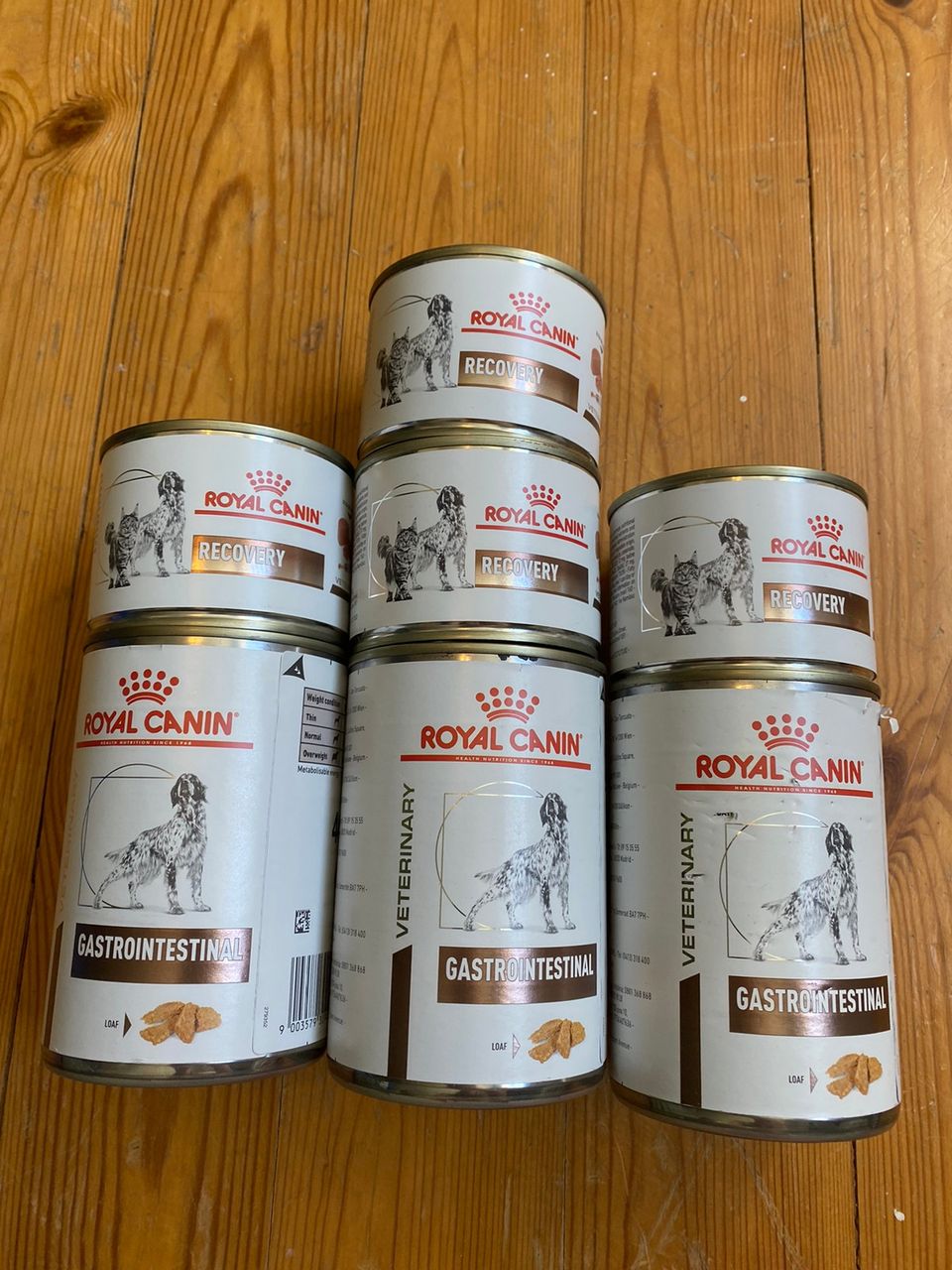 Royal canin ruokaa